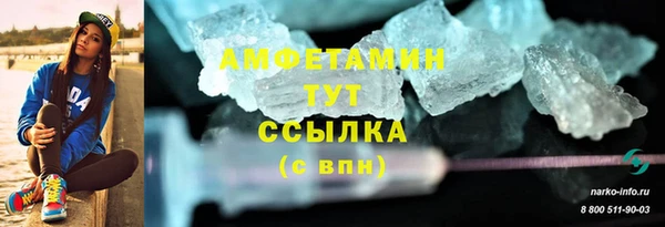 mdpv Вяземский